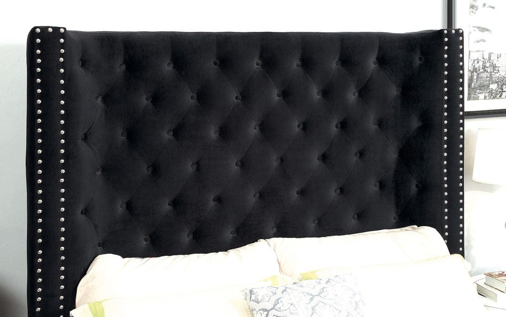 Furniture of America - Rosabelle Queen Bed in Black - CM7669BK-Q-BED View 2