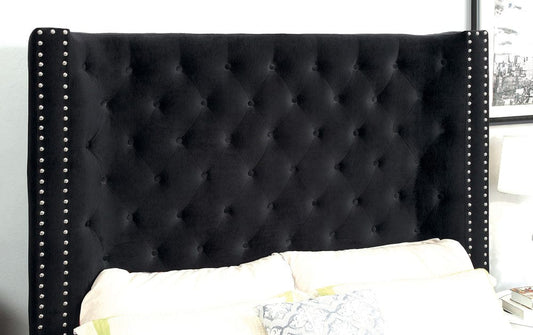 Furniture of America - Rosabelle Queen Bed in Black - CM7669BK-Q-BED View 2