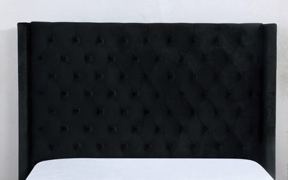 Furniture of America - Ryleigh Queen Bed in Black - FM7141BK-Q-BED View 2