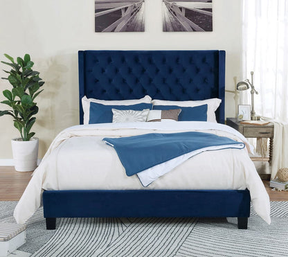 Furniture of America - Ryleigh Queen Bed in Navy - FM7141NV-Q-BED View 1