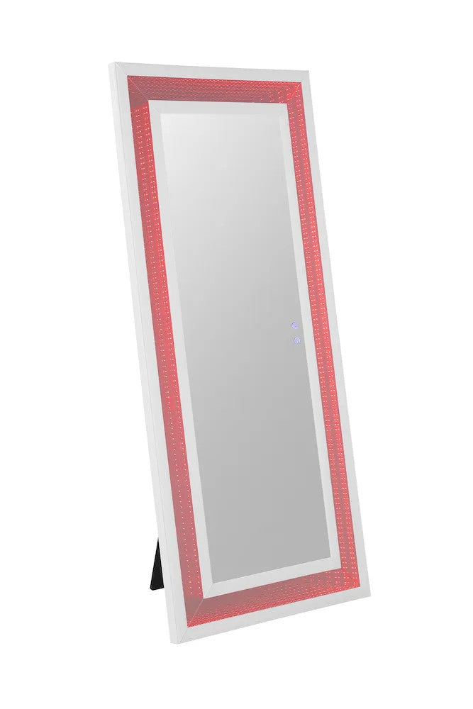 Furniture of America - Solinus - Floor Mirror - FM-AC8020WH-M view 7