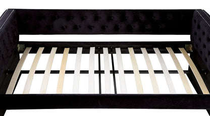 Furniture of America - Susanna Daybed w/ Trundle in Black - CM1739BK-BED View 7