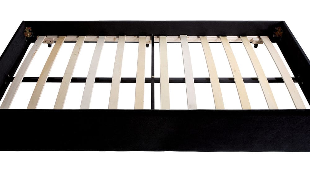Furniture of America - Susanna Daybed w/ Trundle in Black - CM1739BK-BED View 8