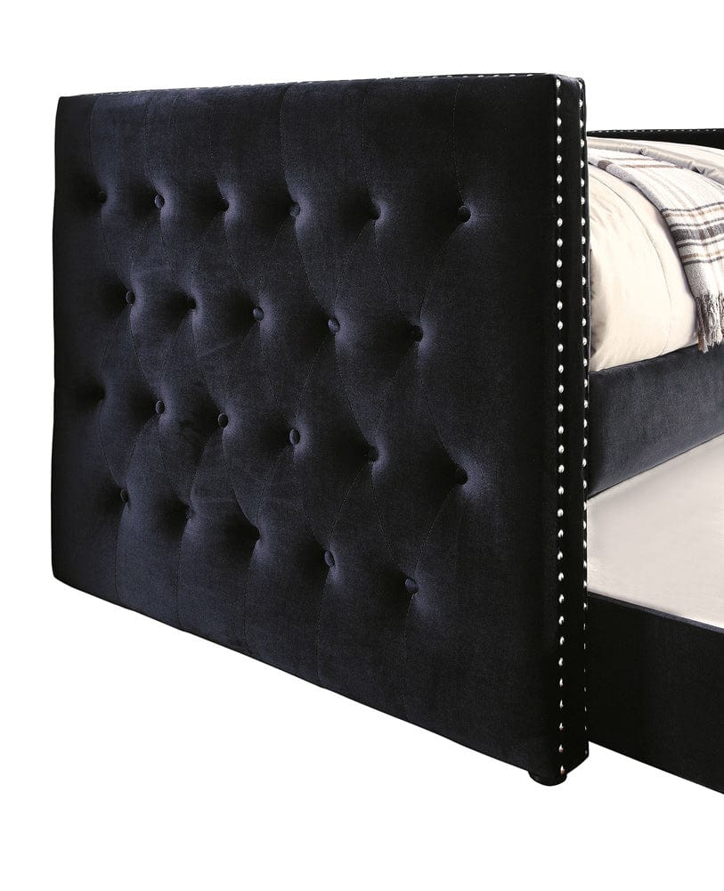 Furniture of America - Susanna Daybed w/ Trundle in Black - FM1739BK-BED View 3