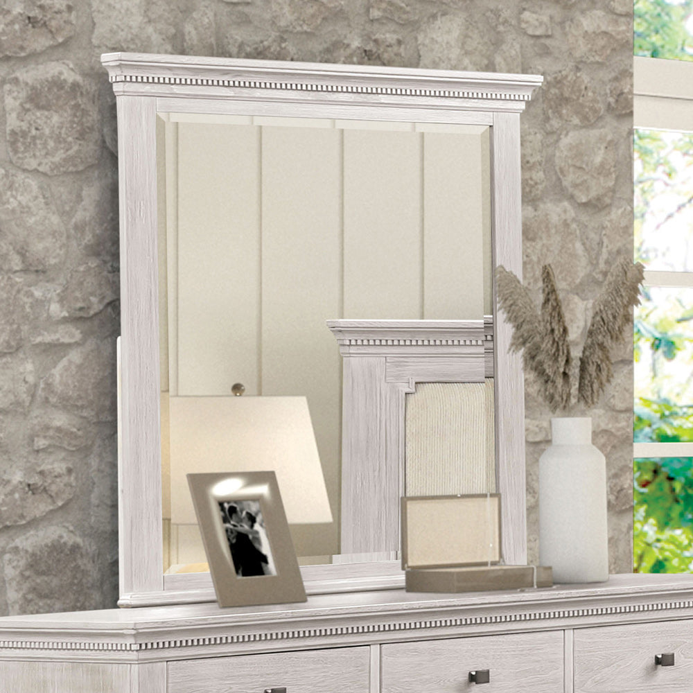 Furniture of America - Swanley Mirror in Weathered Gray - FM7707GY-M View 1