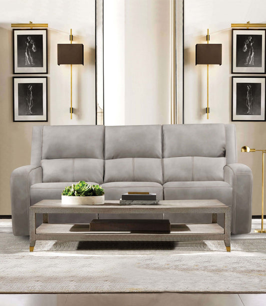 Furniture of America - Vasilios Power Sofa in Taupe - CM9914ST-SF-PM View 1