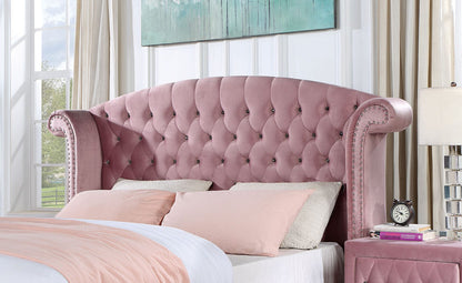 Furniture of America - Zohar Twin Bed in Pink - CM7130PK-T-BED View 2