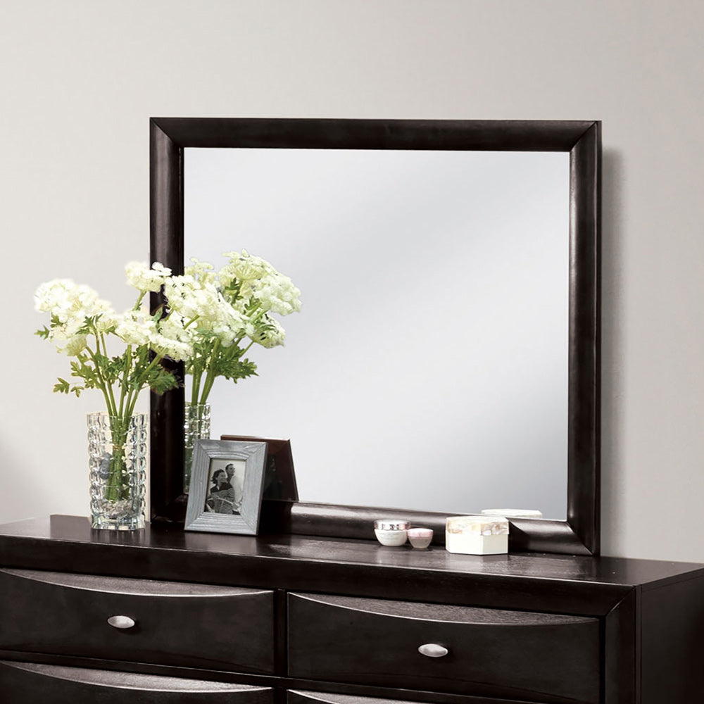 Furniture of America - Zosimo Mirror in Black - FM7210BK-M View 1
