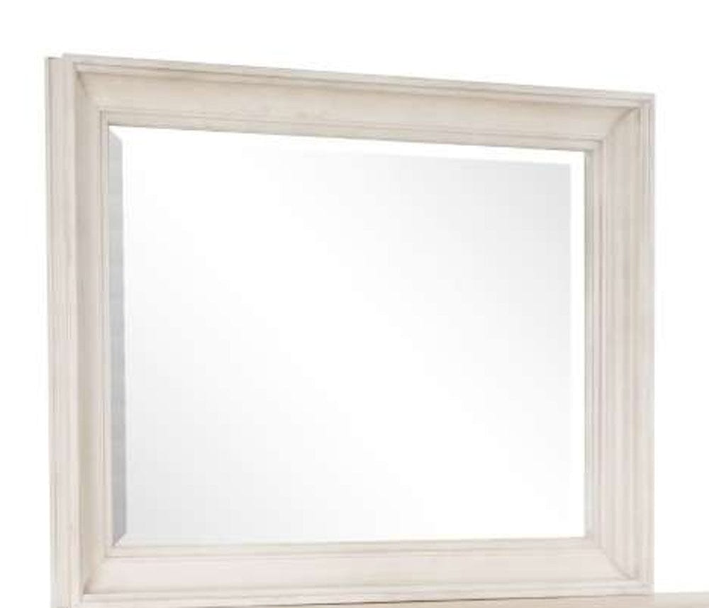 Henry & Mason - Coastal Birch Landscape Mirror - AFA00446 view 1