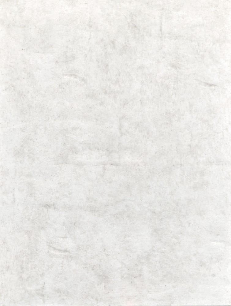 Henry & Mason  -  Evelune Misty Cloud King Panel Bed  - AFA01090 view 6