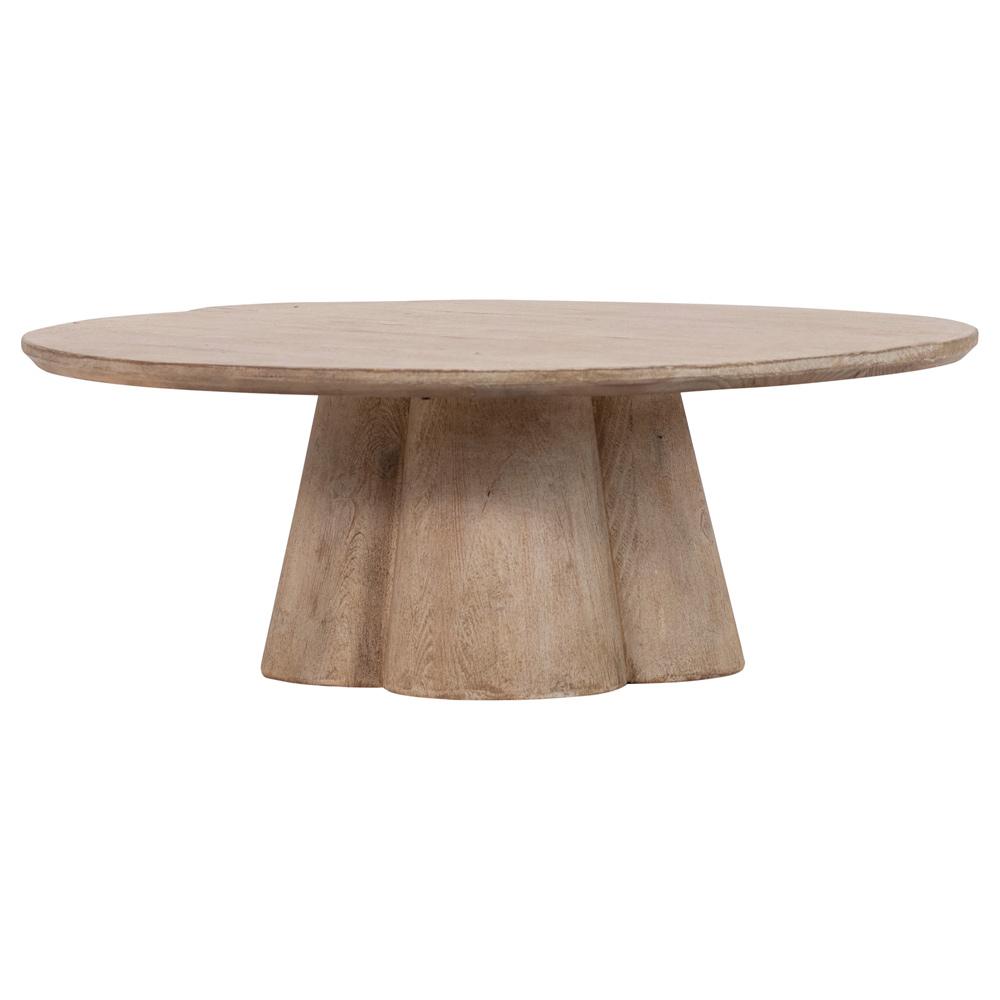 Henry & Mason - Shali Reclaimed Pine Wood Coffee Table in Light Warm Wash Finish - DV7429 veiw 1