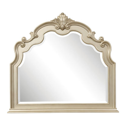 Homelegance  - Antoinetta Mirror - 1919NC-6  view 1