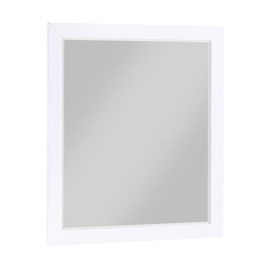 Homelegance  - Asker Mirror - B2012-6  view 1