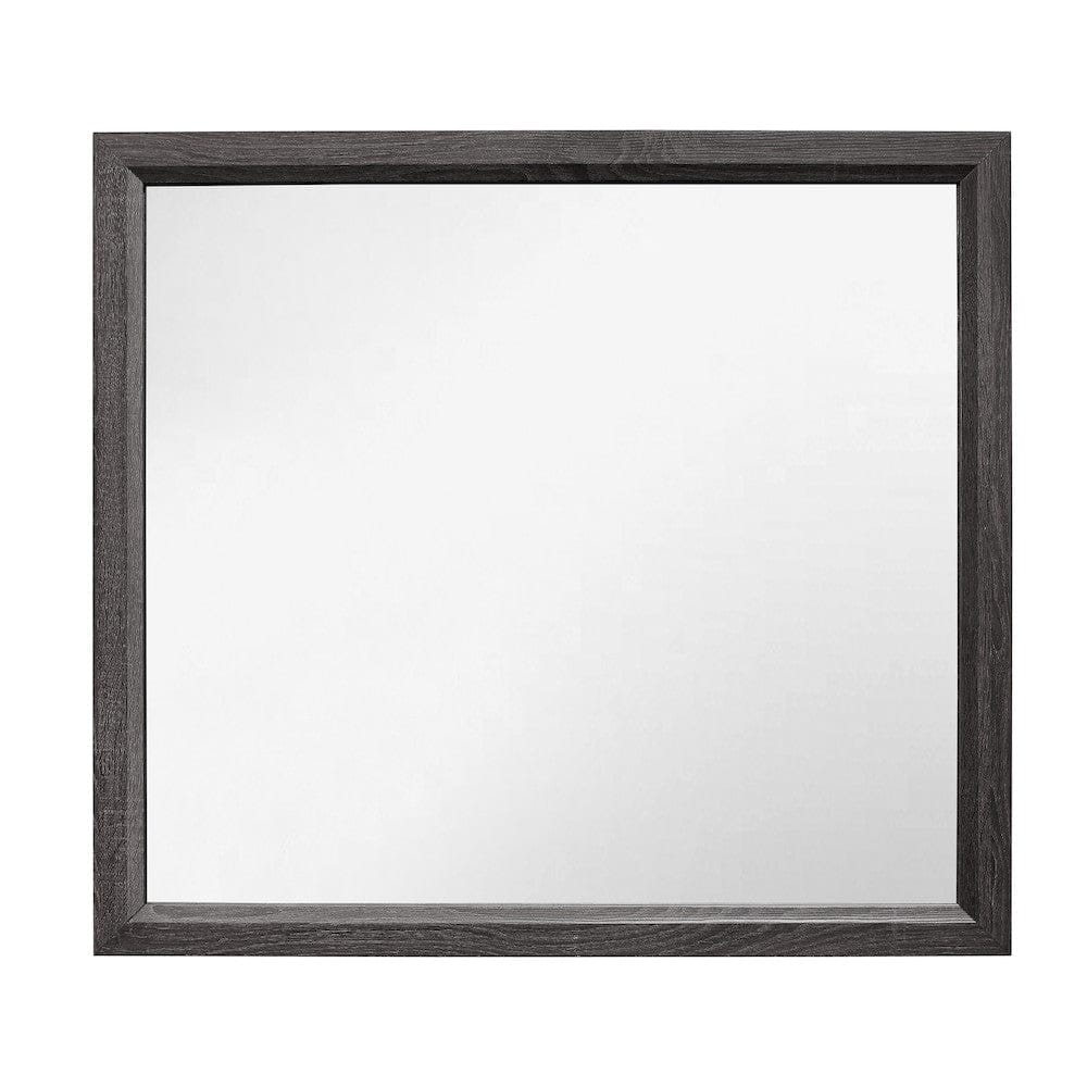 Homelegance  - Davi Mirror - 1645-6  view 1