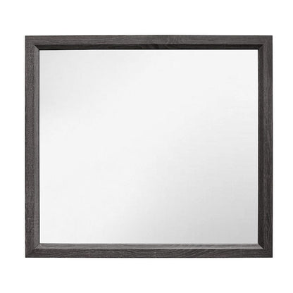 Homelegance  - Davi Mirror - 1645-6  view 1