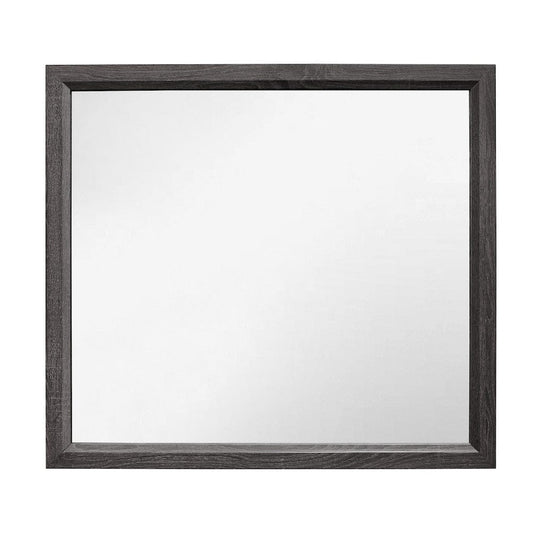 Homelegance  - Davi Mirror - 1645-6  view 1