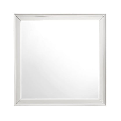 Homelegance  - Donahue Mirror - 1581-6  view 1