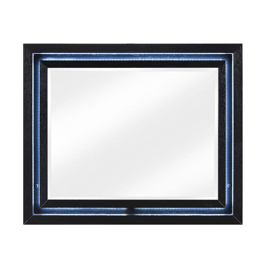 Homelegance  - Garrison Mirror - 2425-6  view 1