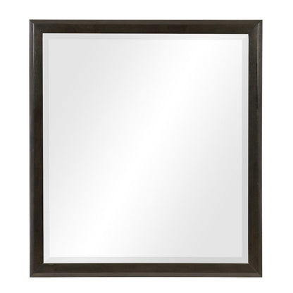 Homelegance  - Hodgin Mirror - 1575-6  view 1