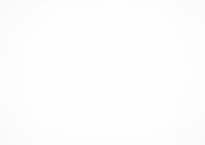 Homelegance  - Linea Mirror - 2384-6  view 2