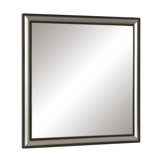Homelegance  -  Mirror - BHE1536-6  view 1