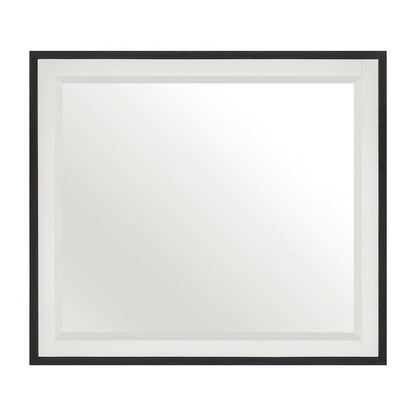 Homelegance  - Oslo Mirror - 1456-6  view 1