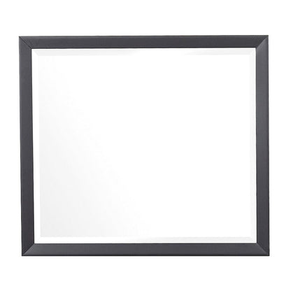 Homelegance  - Raku Mirror - 1711-6  view 1