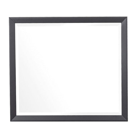 Homelegance  - Raku Mirror - 1711-6  view 1