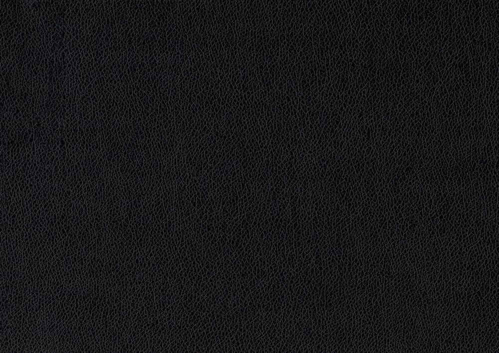 Homelegance  - Tempe Side Chair in Black - 2601BK-S1  view 4