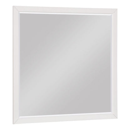 Homelegance  - Wellsummer Mirror - 1803W-6  view 1