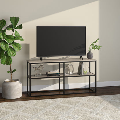 Hudson & Canal - Brasier Rectangular TV Stand for TVs up to 65in in Antiqued Gray Oak - TV1109