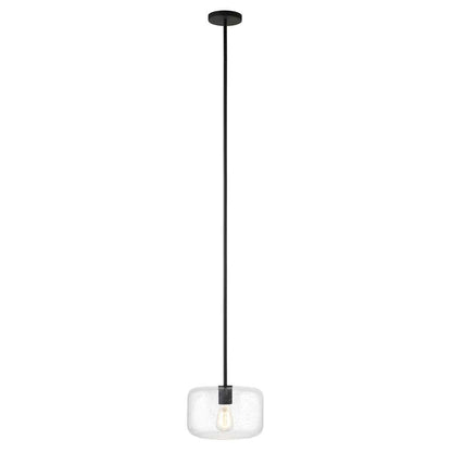 Hudson & Canal - Channing 11in Wide Pendant with Glass Shade in Blackened Bronze/Seeded - PD1609 veiw 3
