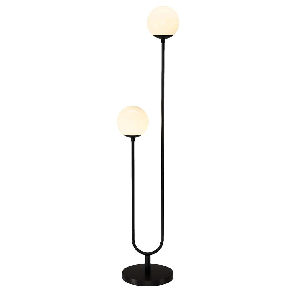 Hudson & Canal - Dufrene 2-Light Floor Lamp with Glass Shades in Blackened Bronze/White Milk - FL1572 veiw 3