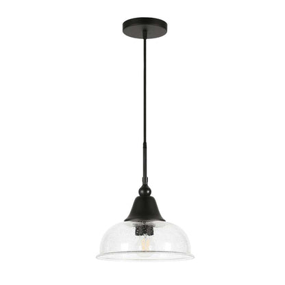 Hudson & Canal - Magnolia 10.75in Wide Pendant with Glass Shade in Blackened Bronze/Seeded - PD0328 veiw 1