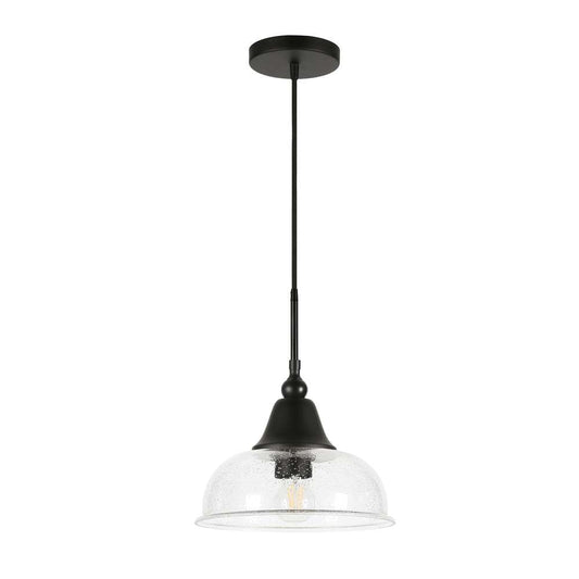 Hudson & Canal - Magnolia 10.75in Wide Pendant with Glass Shade in Blackened Bronze/Seeded - PD0328 veiw 1