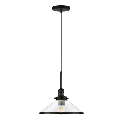 Hudson & Canal - Milo 12.25in Wide Pendant with Glass Shade in Blackened Bronze/Clear - PD0336 veiw 1