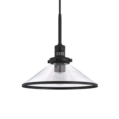 Hudson & Canal - Milo 12.25in Wide Pendant with Glass Shade in Blackened Bronze/Clear - PD0336 veiw 3