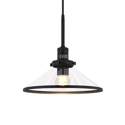 Hudson & Canal - Milo 12.25in Wide Pendant with Glass Shade in Blackened Bronze/Clear - PD0336 veiw 4