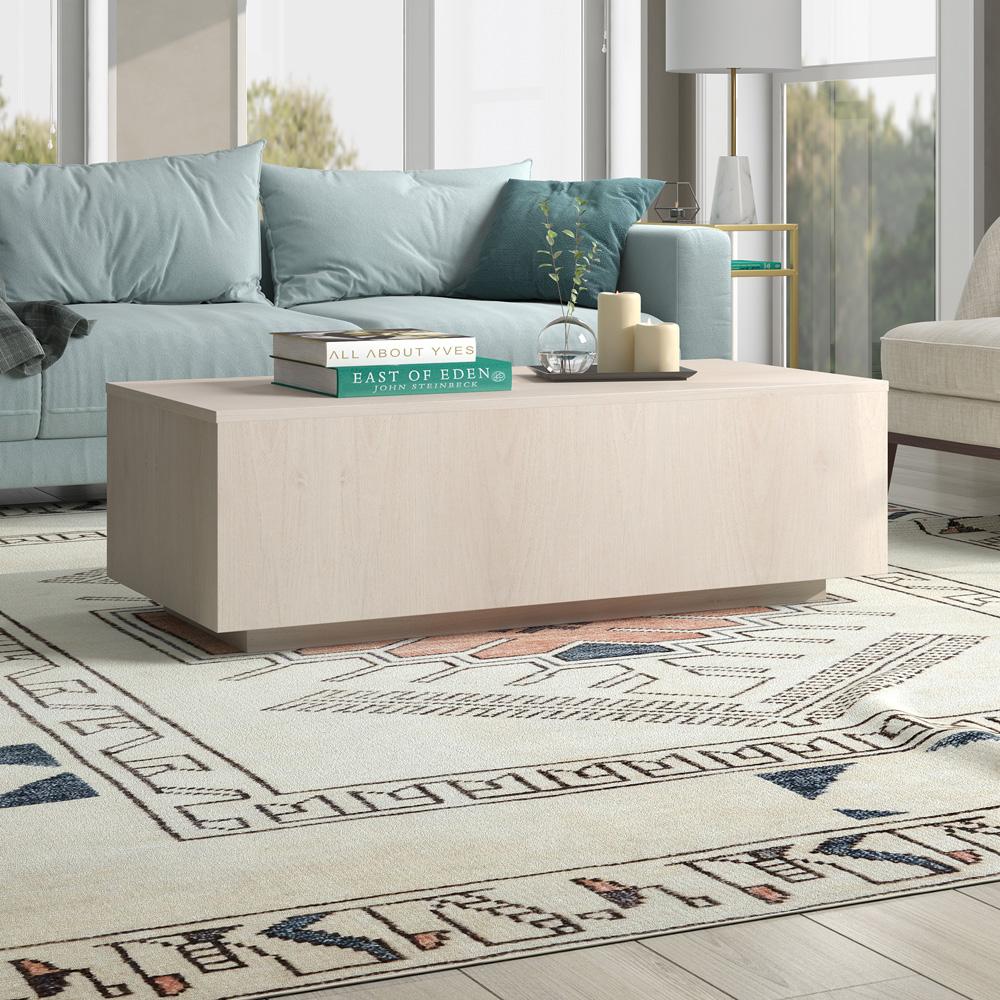 Hudson & Canal - Paxton 48in Wide Rectangular Coffee Table in Alder White - CT2172 veiw 4