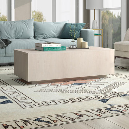 Hudson & Canal - Paxton 48in Wide Rectangular Coffee Table in Alder White - CT2172 veiw 4