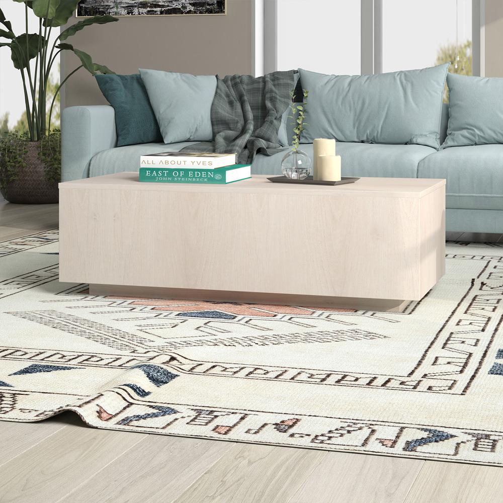 Hudson & Canal - Paxton 48in Wide Rectangular Coffee Table in Alder White - CT2172 veiw 5