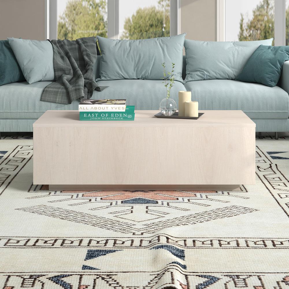 Hudson & Canal - Paxton 48in Wide Rectangular Coffee Table in Alder White - CT2172 veiw 6