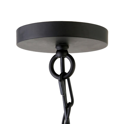 Hudson & Canal - Verona 7in Wide Pendant with Glass Shade in Blackened Bronze/Seeded - PD1075