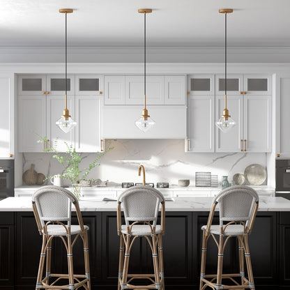 Hudson & Canal - Zariza 8in Wide Pendant with Glass Shade in Brass/Clear - PD0612