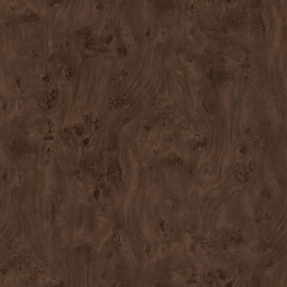 Hudson & Canal - Anders 20" Wide Burled Side Table in Espresso Burl - ST2439 view 4
