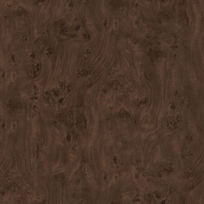 Hudson & Canal - Anders 20" Wide Burled Side Table in Espresso Burl - ST2439 view 4