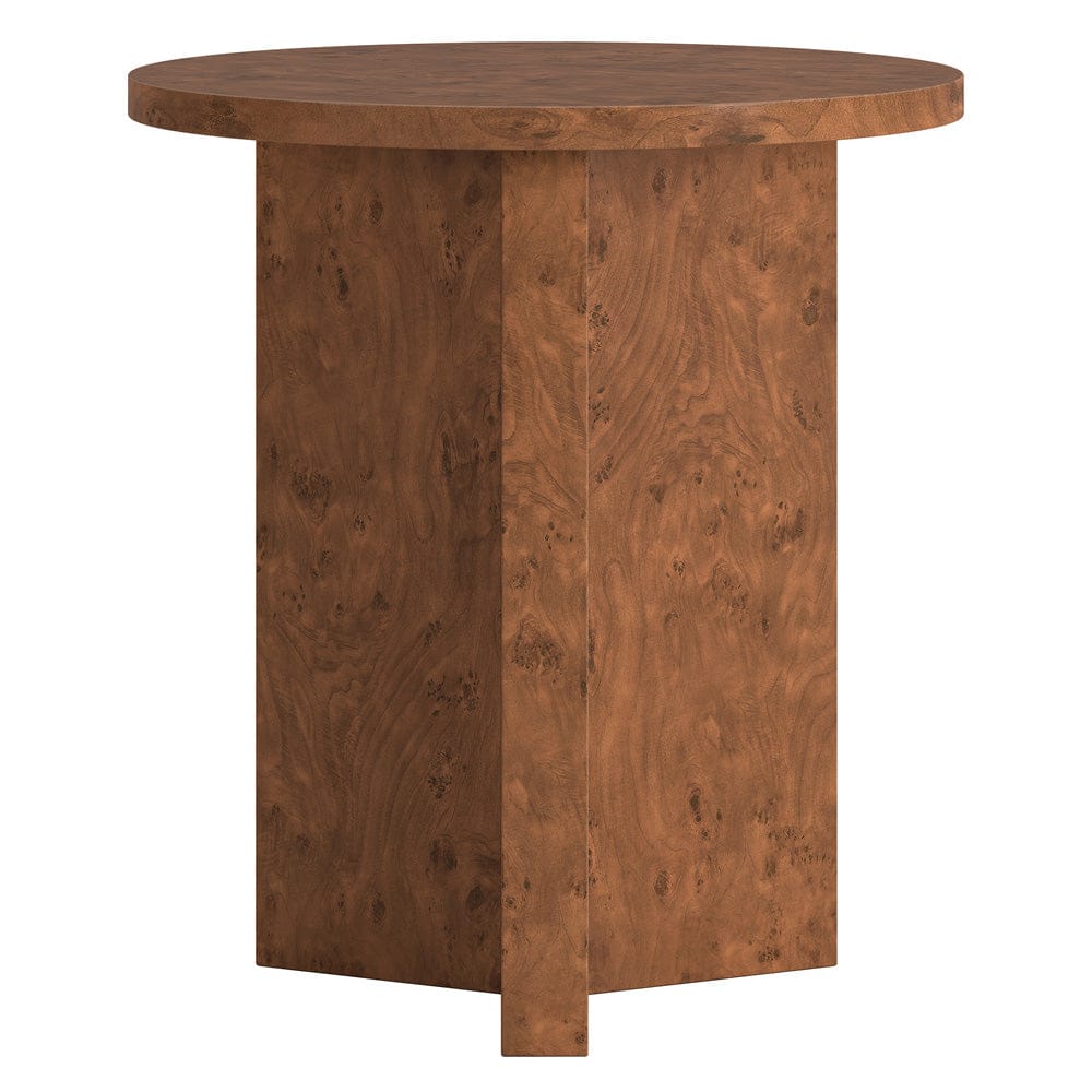 Hudson & Canal - Anders 20" Wide Burled Side Table in Walnut Burl - ST2440 view 2
