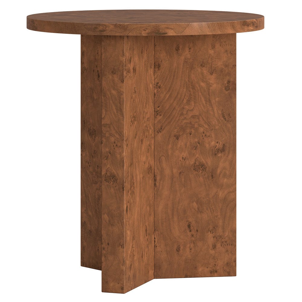 Hudson & Canal - Anders 20" Wide Burled Side Table in Walnut Burl - ST2440 view 3
