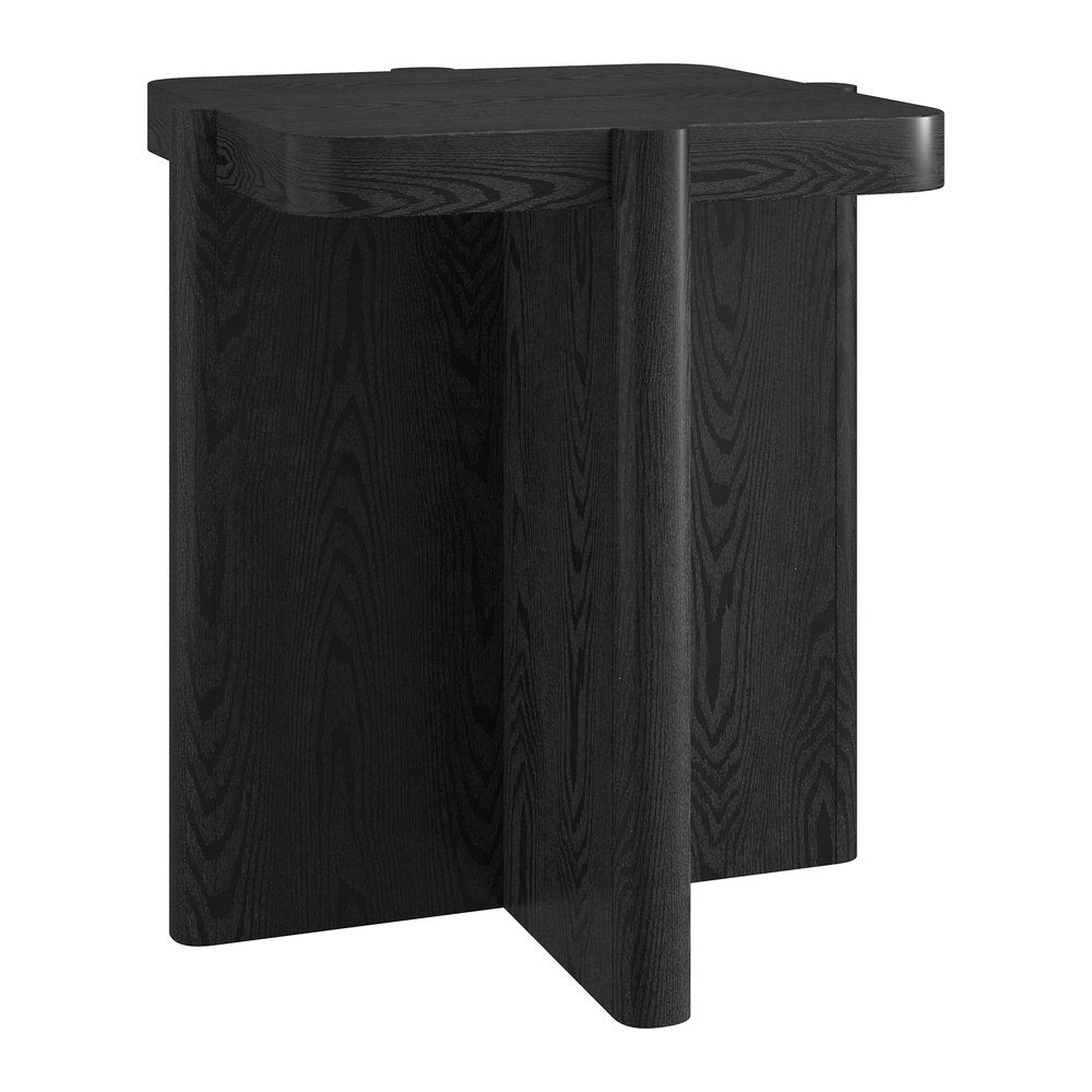 Hudson & Canal - Laguna 20in Wide Square Side Table in Black Grain - ST2465 view 1