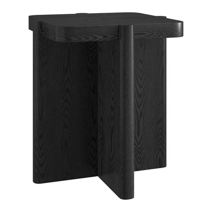 Hudson & Canal - Laguna 20in Wide Square Side Table in Black Grain - ST2465 view 1